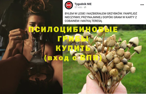 героин Алзамай