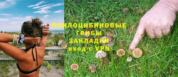 героин Алзамай