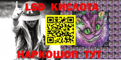 стаф Кимры