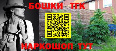 стаф Кимры
