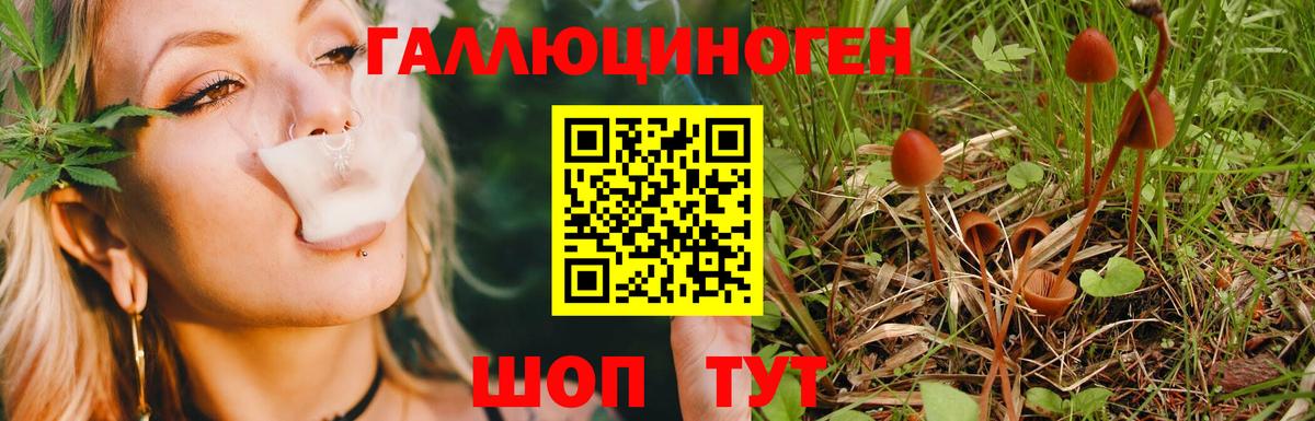 Галлюциногенные грибы ЛСД Кондопога